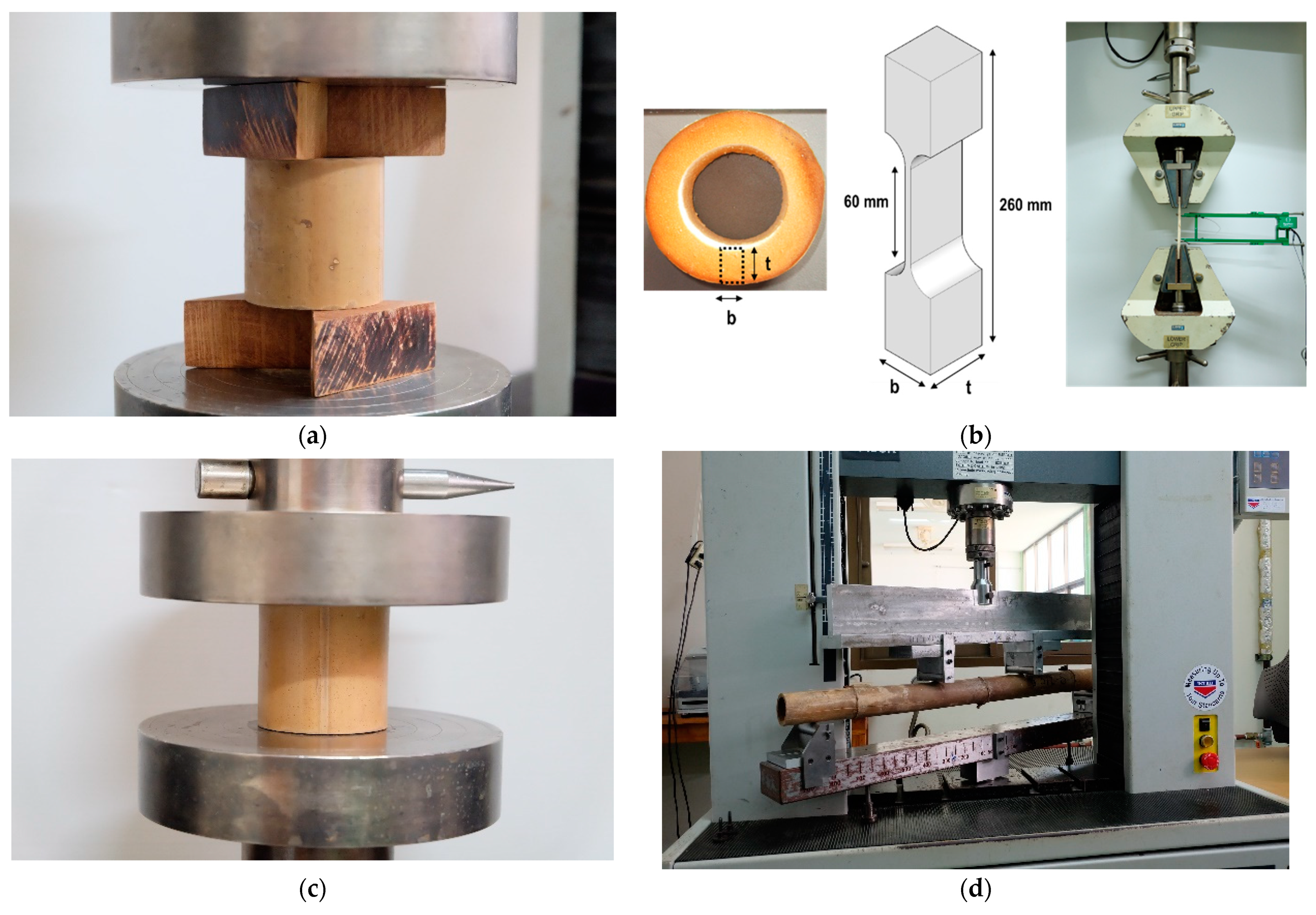 Sustainability 13 07376 g002
