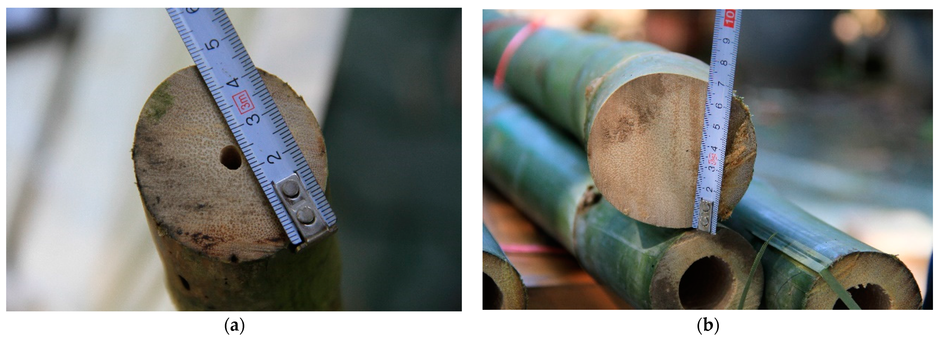 Sustainability 13 07376 g004