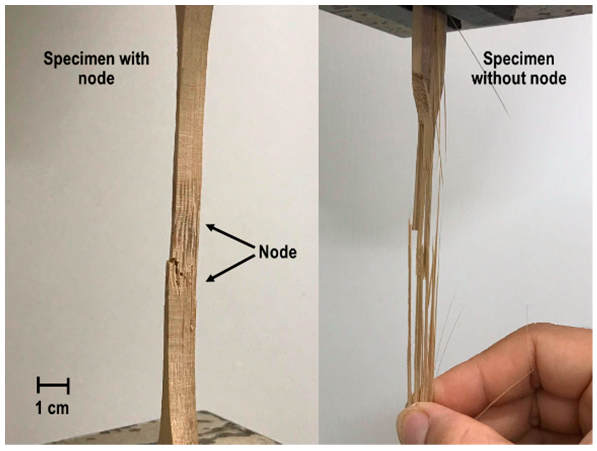 Sustainability 13 07376 g009