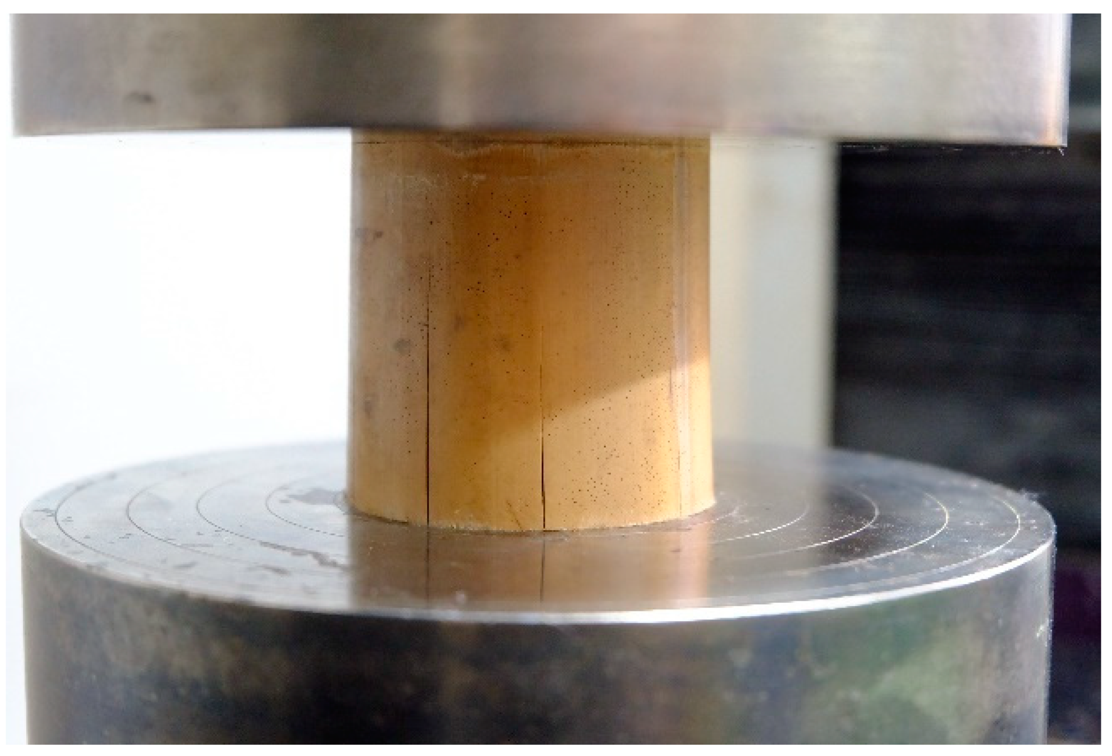 Sustainability 13 07376 g013