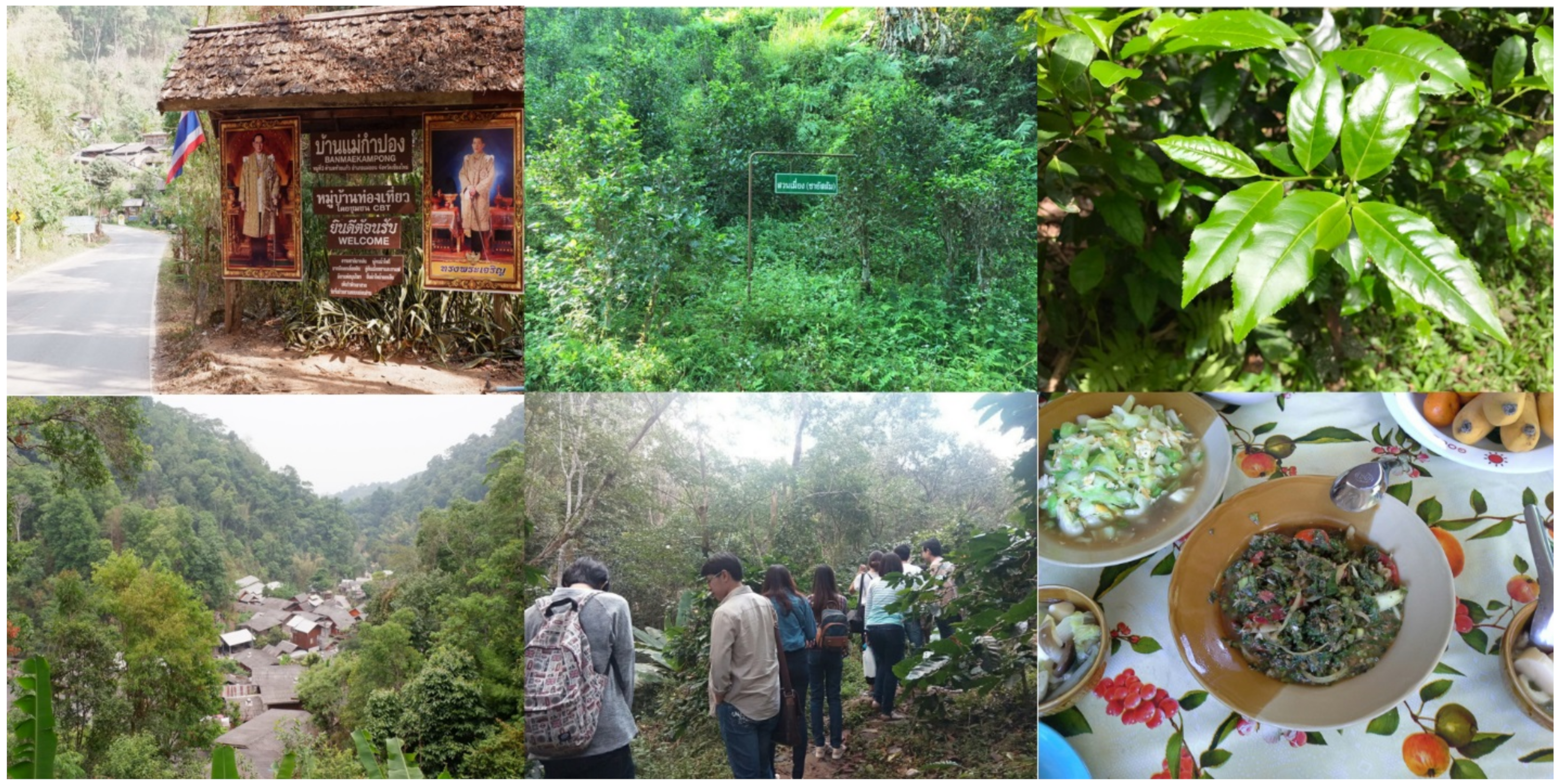 Sustainability 13 07381 g001