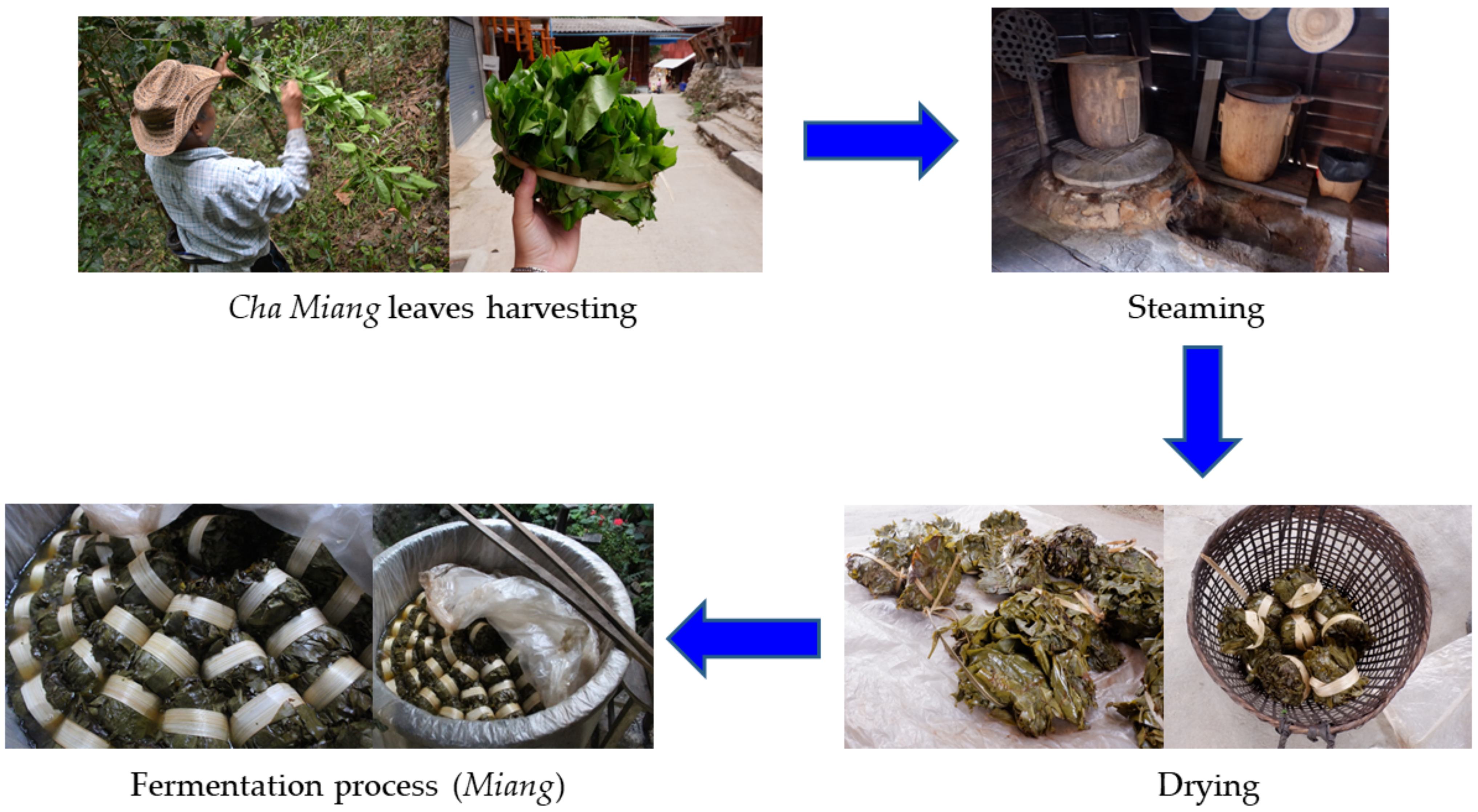 Sustainability 13 07381 g002