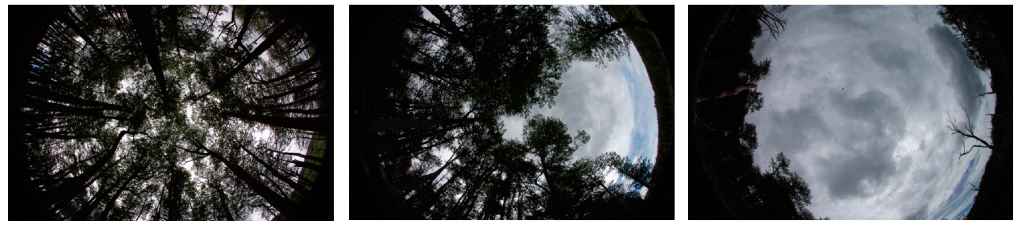 Sustainability 13 07541 g002 550