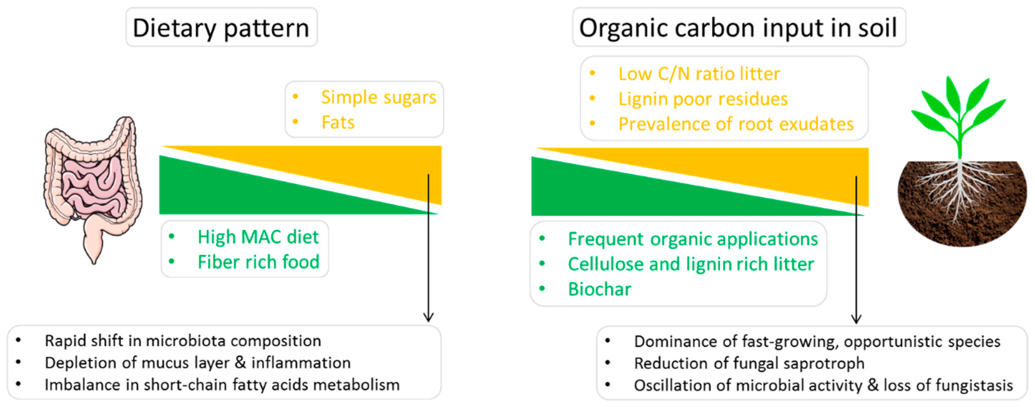 Sustainability 13 07608 g002