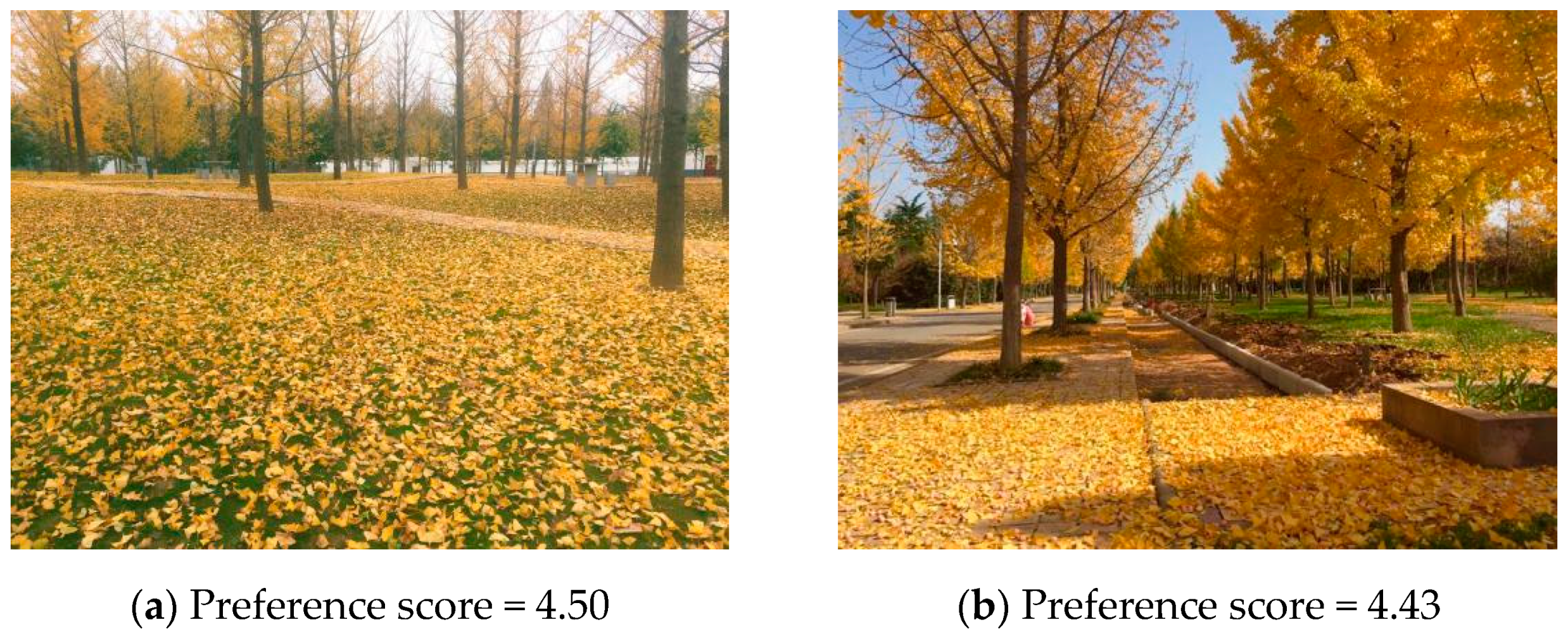 Sustainability 13 07615 g001 550