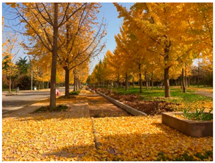 Sustainability 13 07615 i002