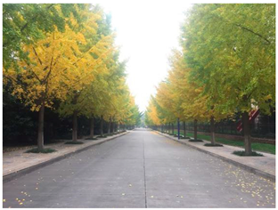 Sustainability 13 07615 i005