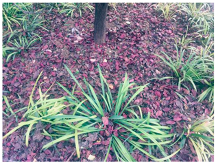 Sustainability 13 07615 i006