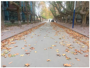 Sustainability 13 07615 i007