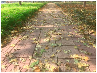 Sustainability 13 07615 i008