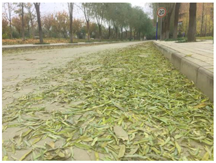 Sustainability 13 07615 i010