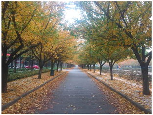 Sustainability 13 07615 i011