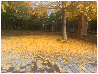 Sustainability 13 07615 i012