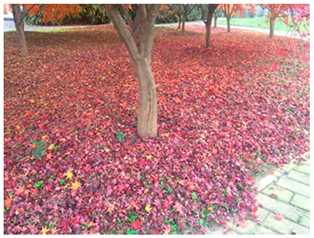 Sustainability 13 07615 i013