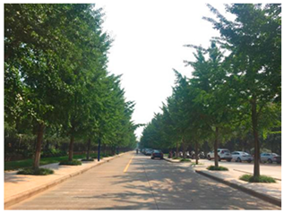 Sustainability 13 07615 i014