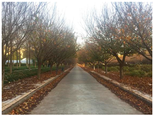 Sustainability 13 07615 i016