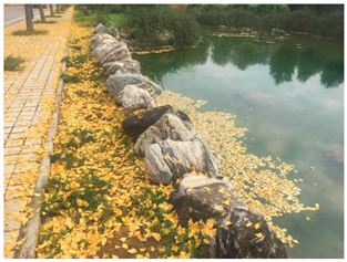 Sustainability 13 07615 i017