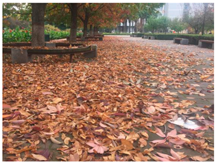 Sustainability 13 07615 i018