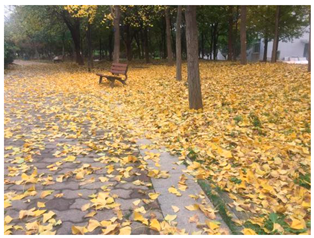 Sustainability 13 07615 i019