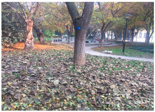 Sustainability 13 07615 i022