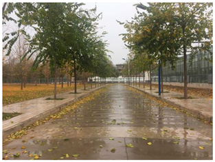 Sustainability 13 07615 i023