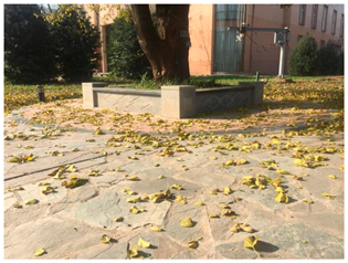 Sustainability 13 07615 i024