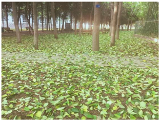 Sustainability 13 07615 i025