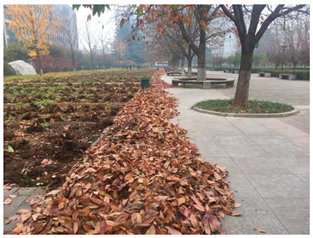 Sustainability 13 07615 i027