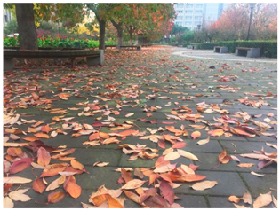 Sustainability 13 07615 i028