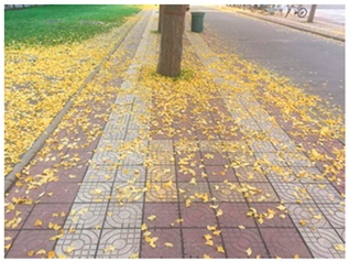 Sustainability 13 07615 i030