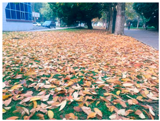 Sustainability 13 07615 i031