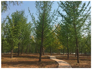 Sustainability 13 07615 i032