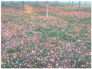 Sustainability 13 07615 i037