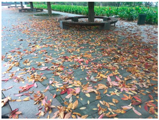 Sustainability 13 07615 i038