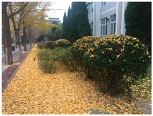 Sustainability 13 07615 i039