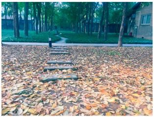 Sustainability 13 07615 i040