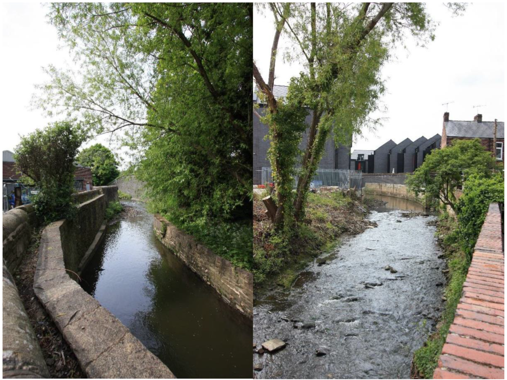 Sustainability 13 07646 g004