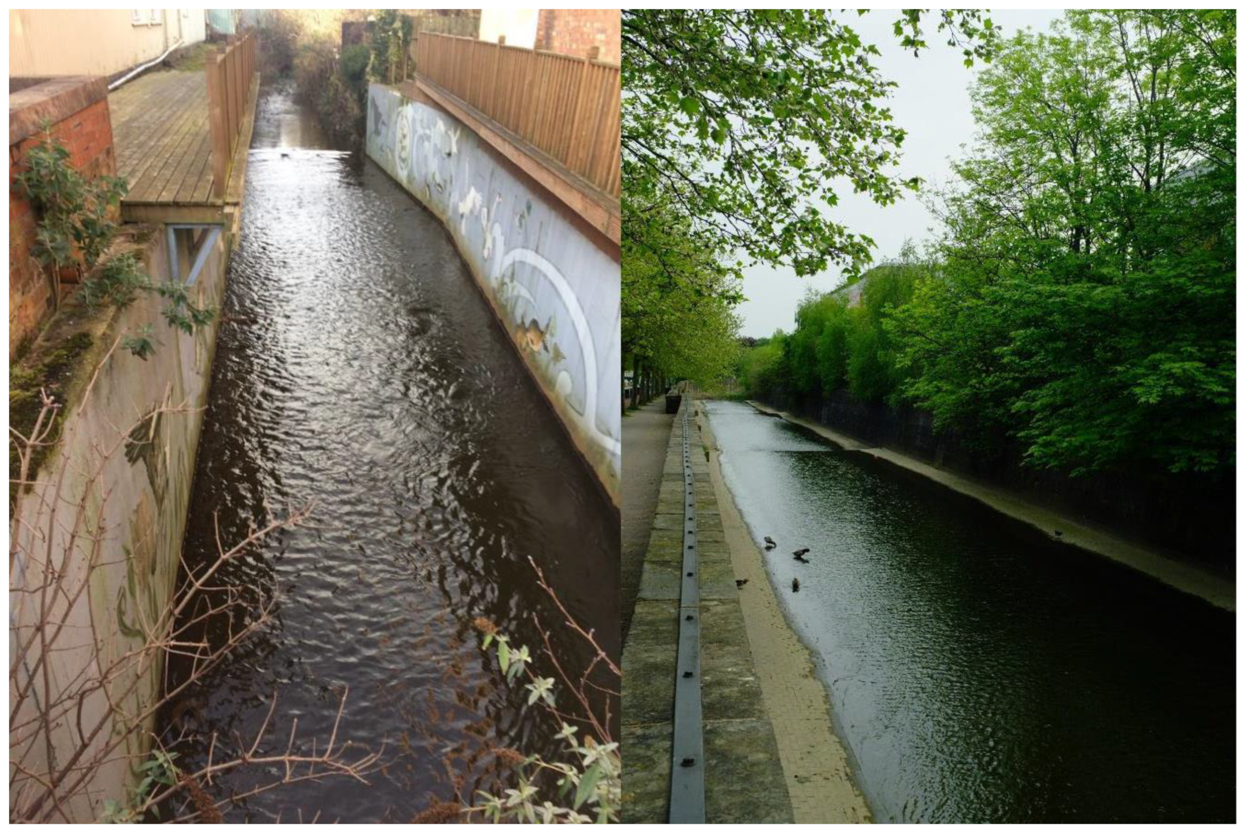 Sustainability 13 07646 g007