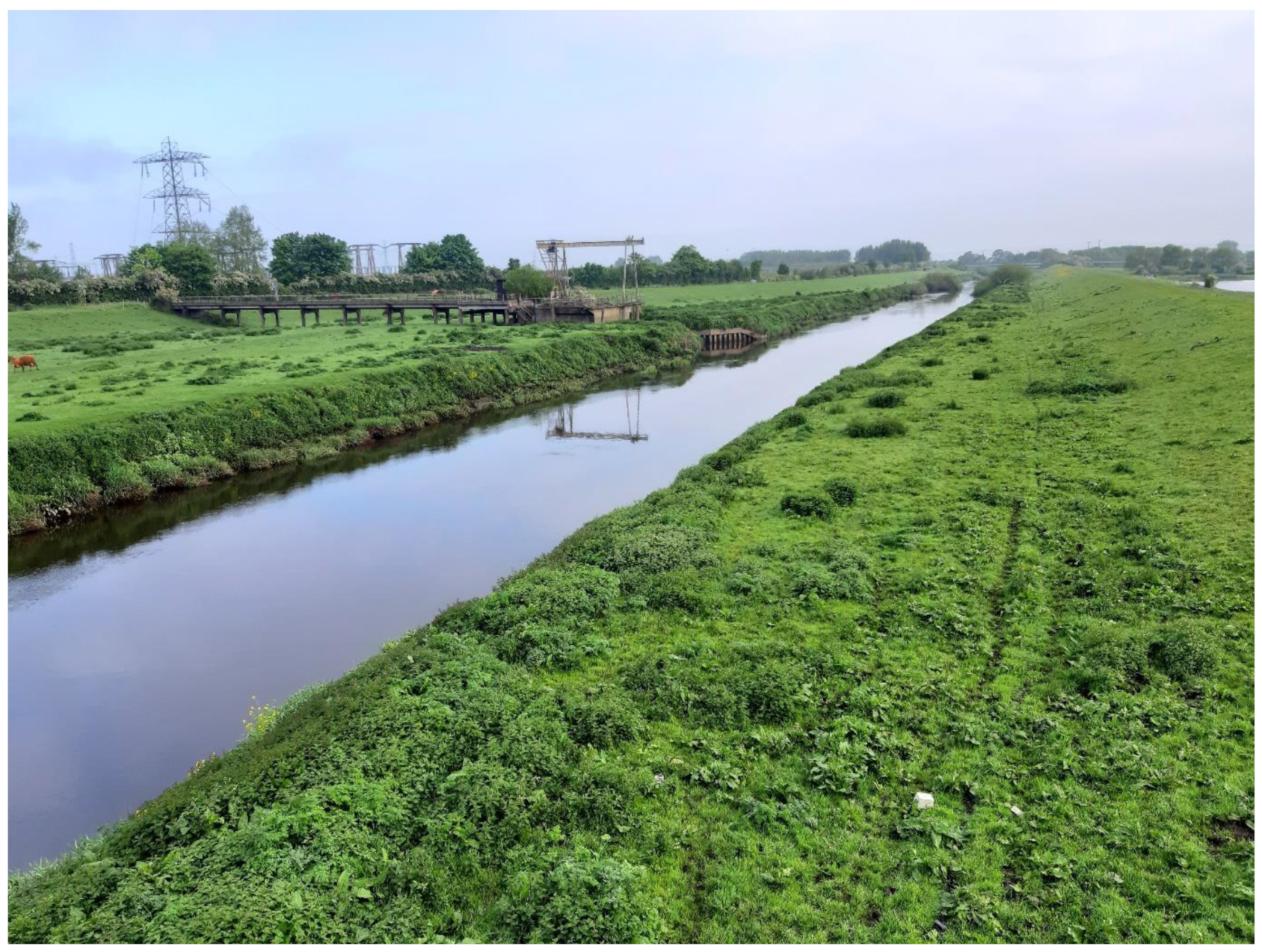 Sustainability 13 07646 g008