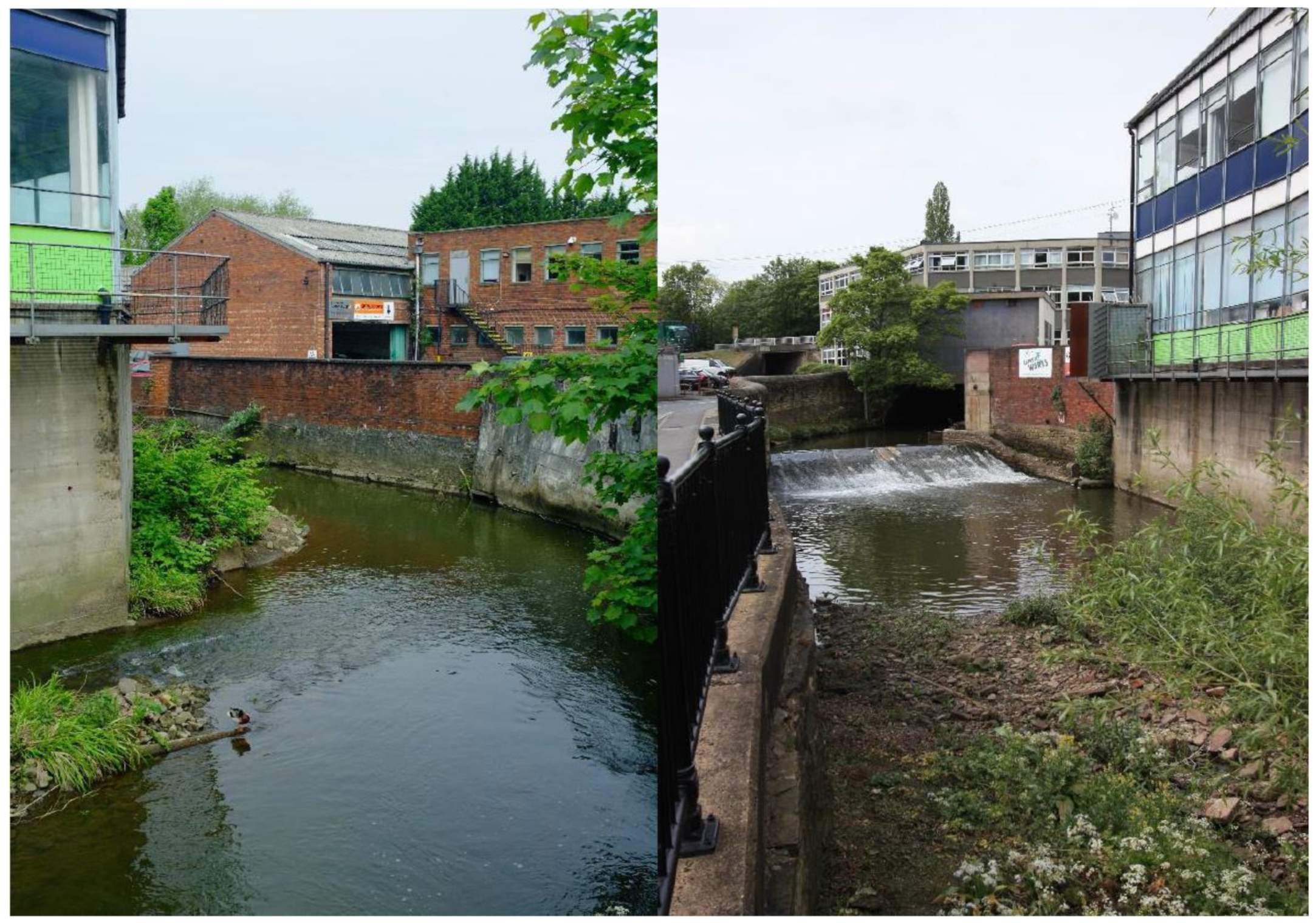 Sustainability 13 07646 g012