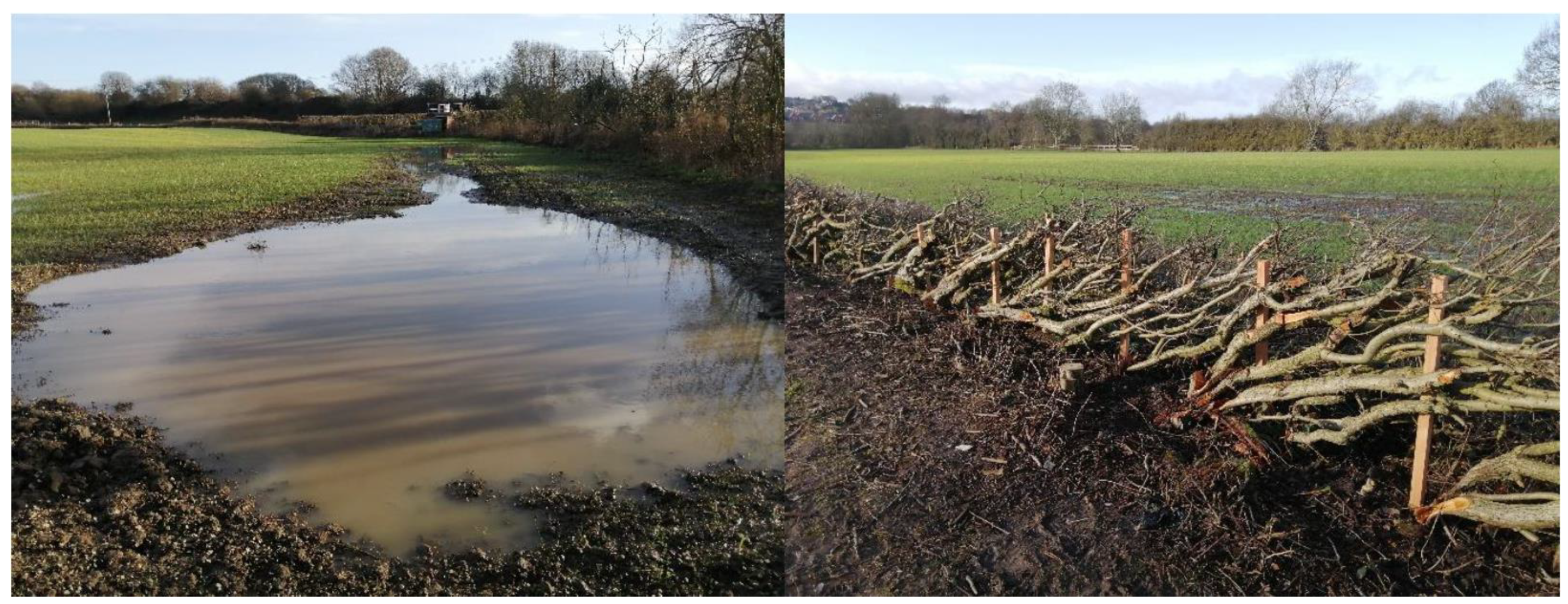 Sustainability 13 07646 g016