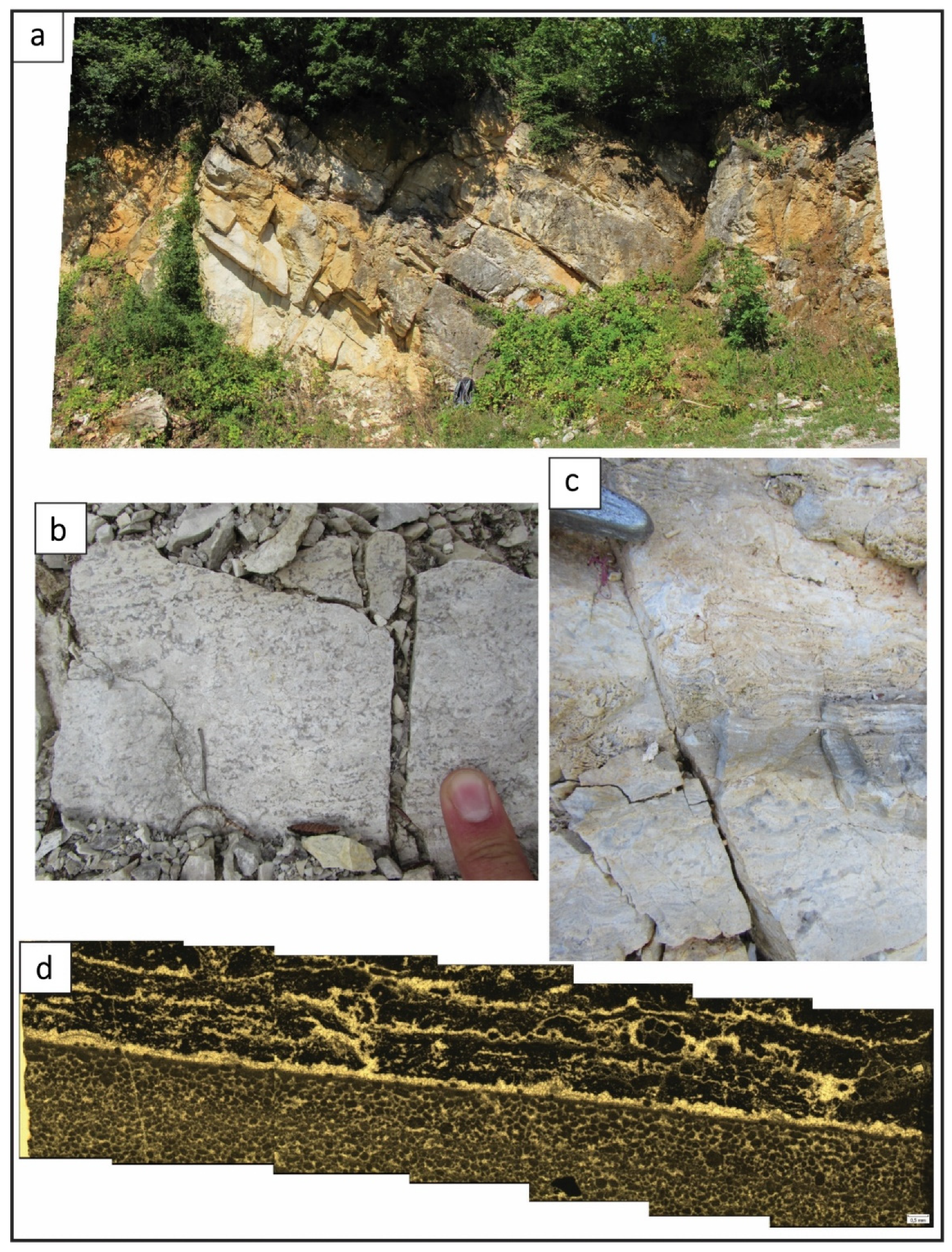 Sustainability 13 07668 g002 Sustainability 13 07668 g002