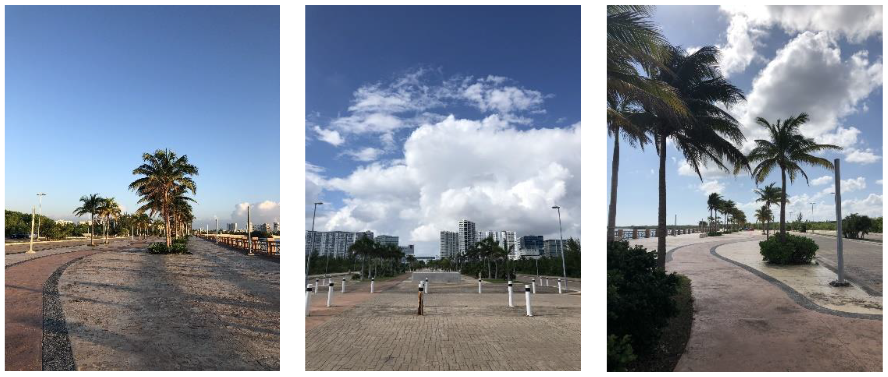 Sustainability 13 07670 g002 550