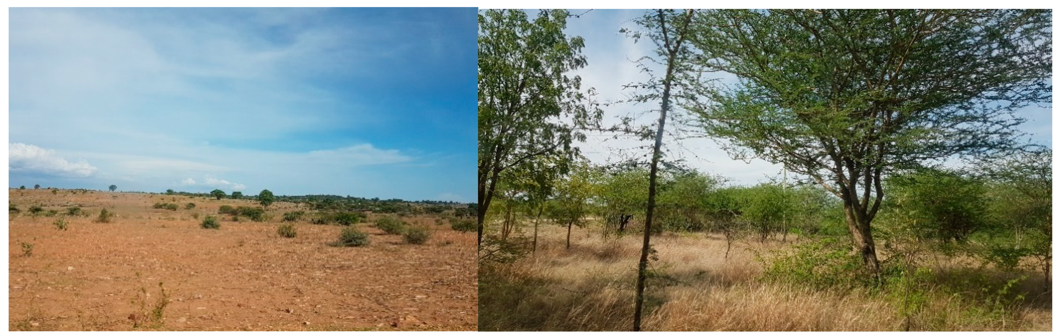 Sustainability 13 07730 g001 550