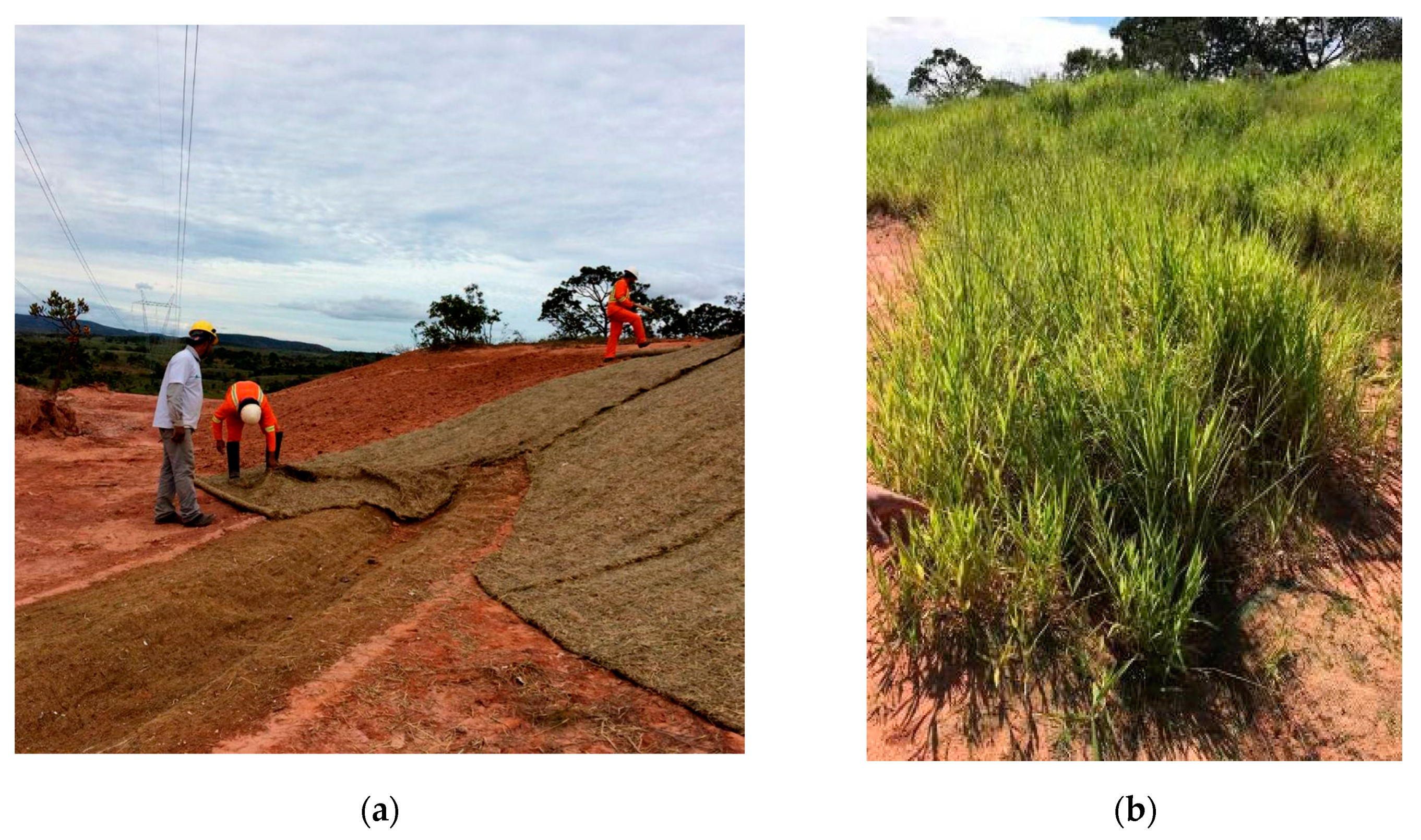 Sustainability 13 07731 g006