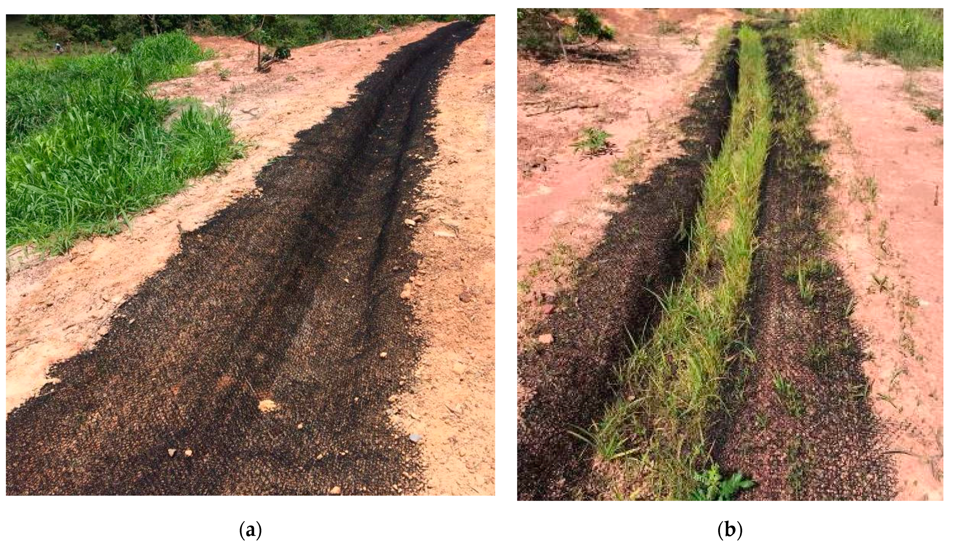 Sustainability 13 07731 g007