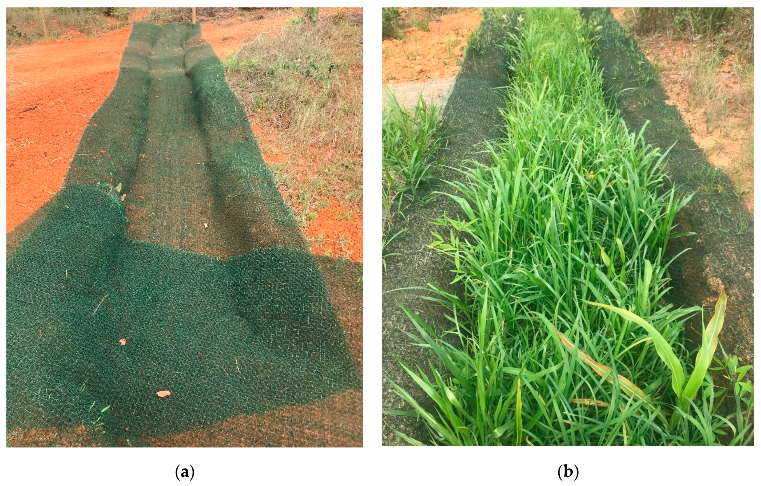 Sustainability 13 07731 g008