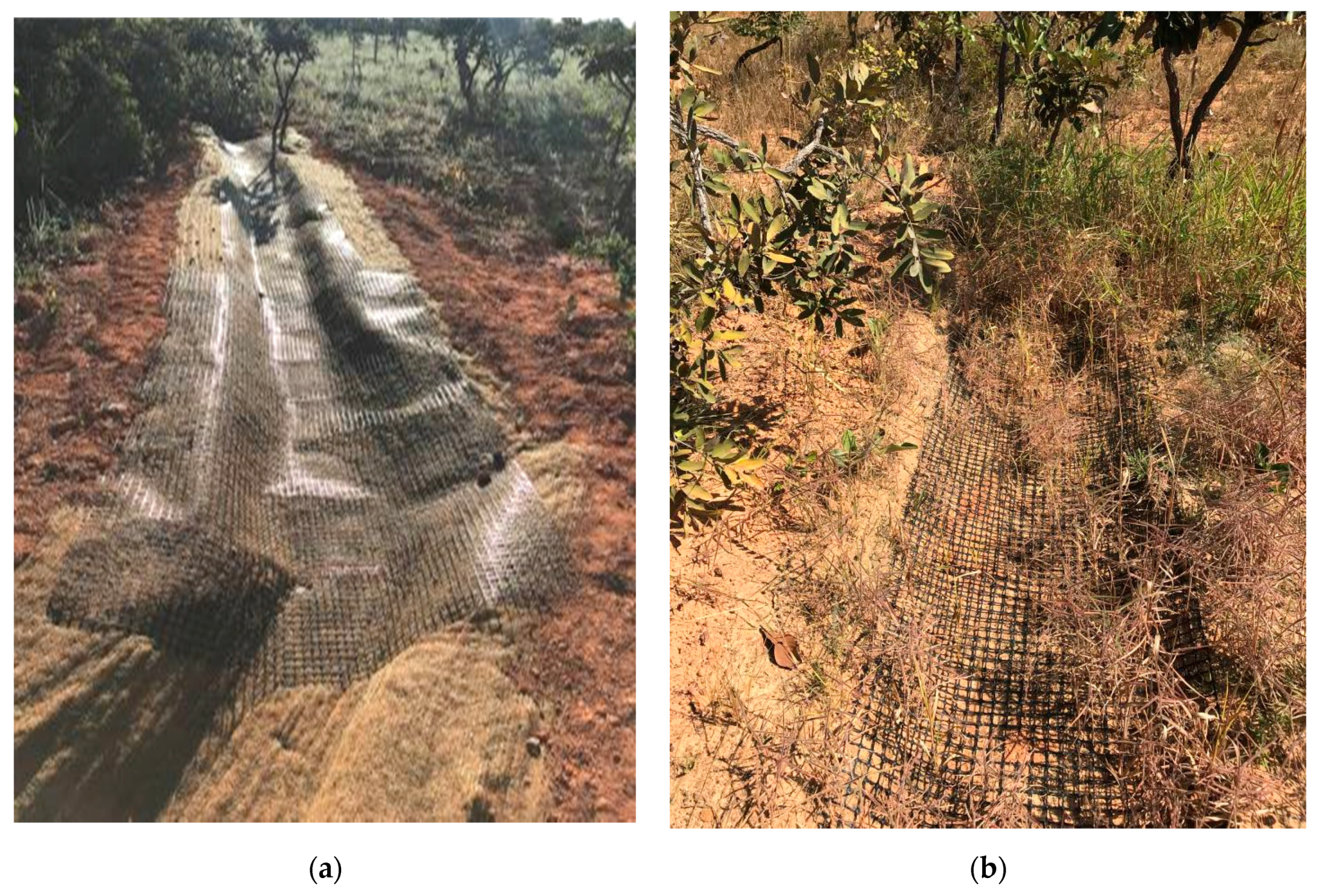 Sustainability 13 07731 g011