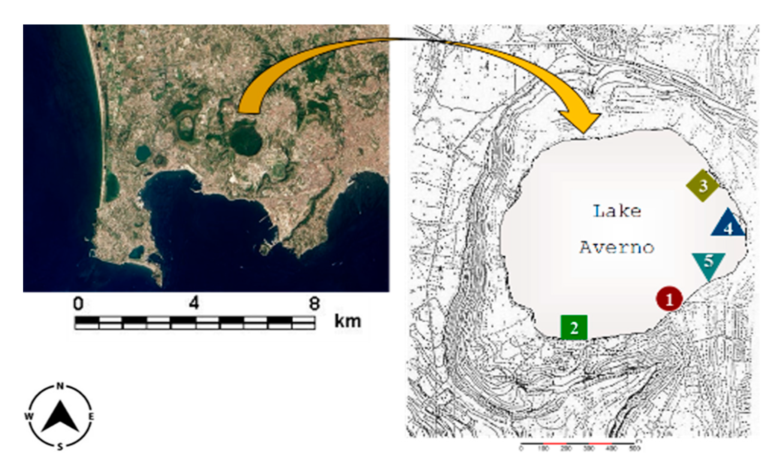 Sustainability 13 07745 g001 550