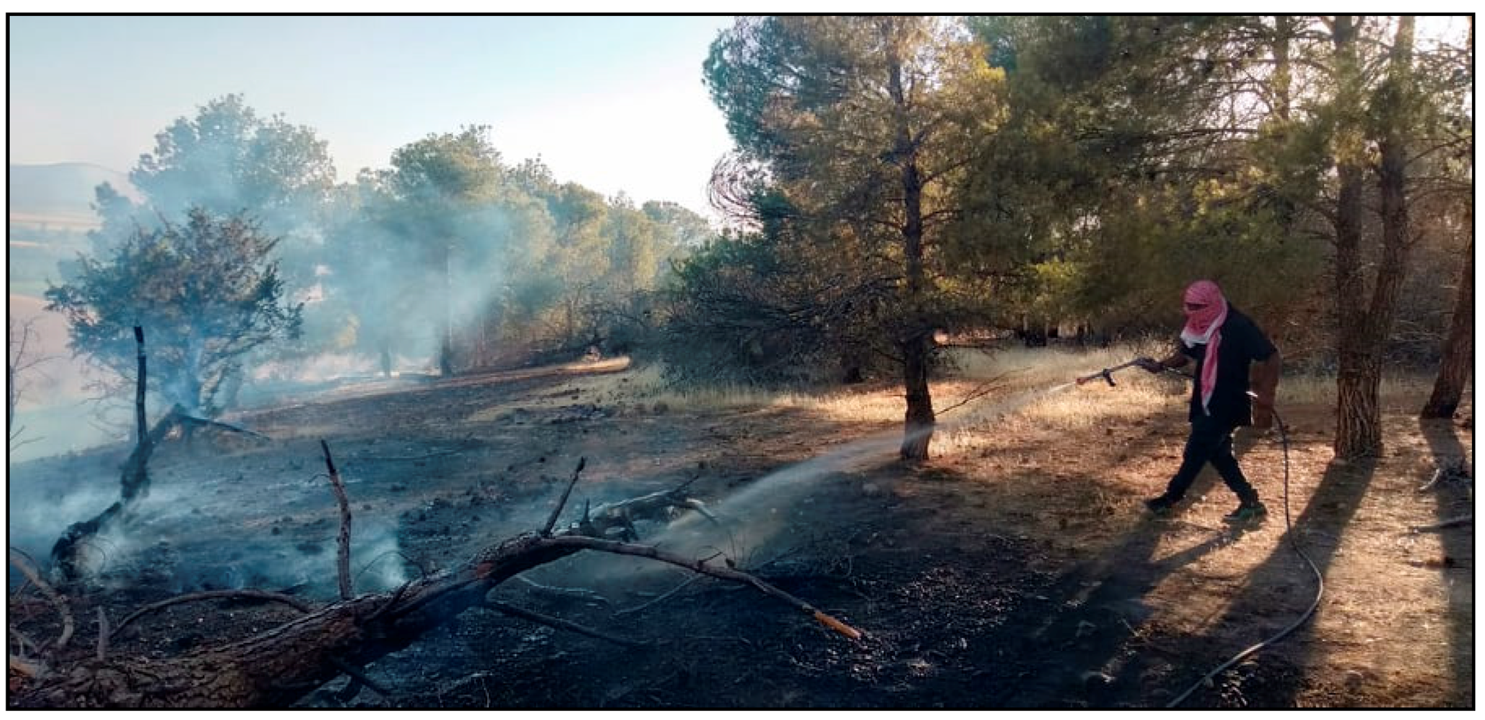 Sustainability 13 07761 g008 Sustainability 13 07761 g008